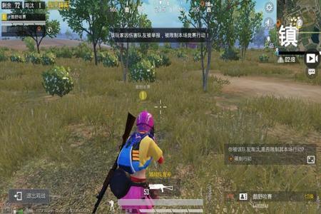 游戏手机和平精英官方外挂(手游和平精英外挂很多吗) 游戏手机和平精英官方外挂(手游和平精英外挂很多吗)