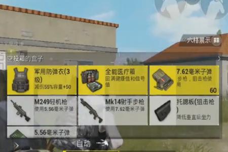 和平精英什么辅助(和平精英有什么辅助配件) 和平精英什么辅助(和平精英有什么辅助配件)