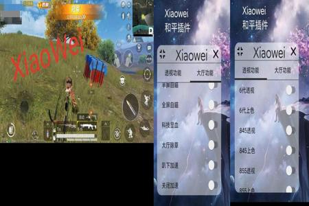 和平精英外挂卡密在哪里买(和平精英外挂卡密) 和平精英外挂卡密在哪里买(和平精英外挂卡密)