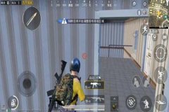 和平精英准星辅助器真的准吗（和平精英准星辅助器是真的吗）