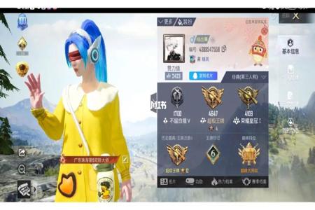 和平精英的辅助插件怎么用(和平精英的辅助器该怎么用) 和平精英的辅助插件怎么用(和平精英的辅助器该怎么用)