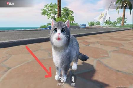 和平精英怎么带辅助器(和平精英怎么玩辅助) 和平精英怎么带辅助器(和平精英怎么玩辅助)