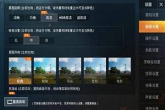 和平精英手游火焰鸟辅助（和平精英手游怎么开辅助）