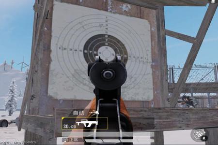 和平精英准星辅助器四个字是什么(和平精英准星辅助器叫什么) 和平精英准星辅助器四个字是什么(和平精英准星辅助器叫什么)