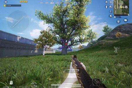 苹果手机和平精英准心辅助(苹果手机和平精英用什么辅助器) 苹果手机和平精英准心辅助(苹果手机和平精英用什么辅助器)