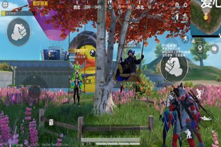 和平精英一般用什么外挂(和平精英都可以用什么外挂) 和平精英一般用什么外挂(和平精英都可以用什么外挂)