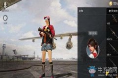 和平精英辅助用什么最好（和平精英辅助什么样）