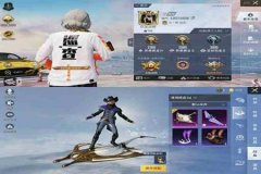 和平精英外挂侦查员怎么当（和平精英外挂巡查怎么搞）