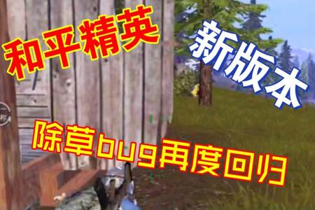 安卓10和平精英除草辅助(安卓和平精英免费除草) 安卓10和平精英除草辅助(安卓和平精英免费除草)